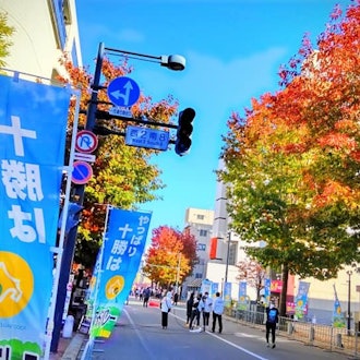 [Image1]【Food Valley Tokachi Marathon】Why don't you run under the sunny Tokachi sky while receiving a lot of