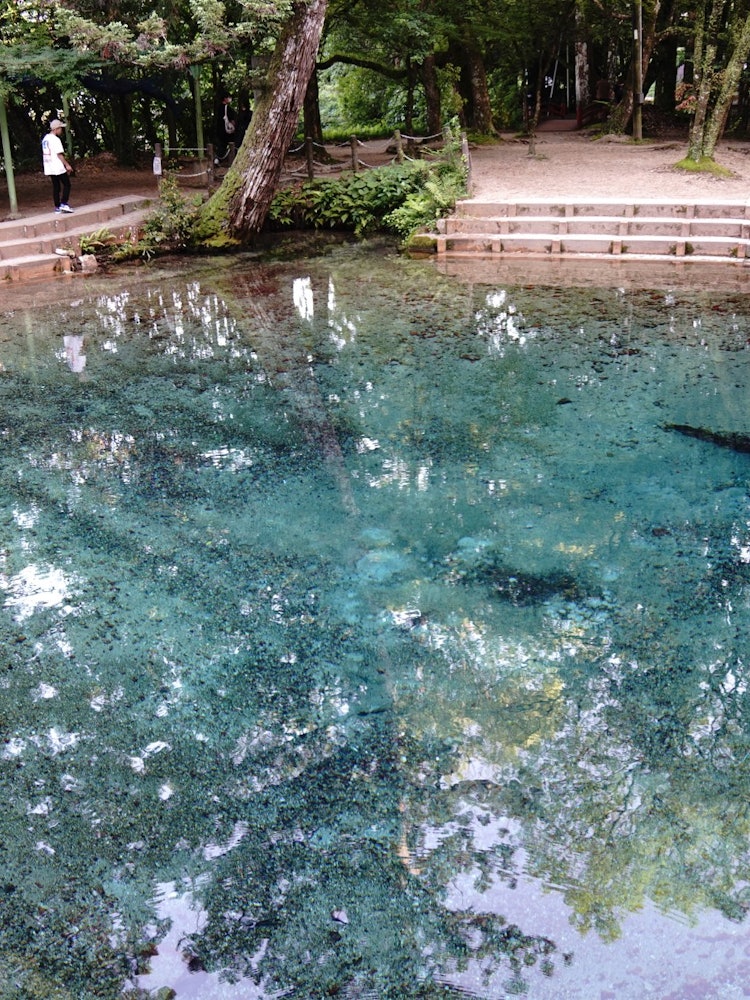 [Image1]It is Beppu Benten Pond in Mine City, Yamaguchi Prefecture.The clear color of the cobalt blue water 