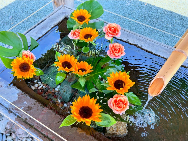 [画像1]24年6月8日撮影。成田山川越別院の花手水です。