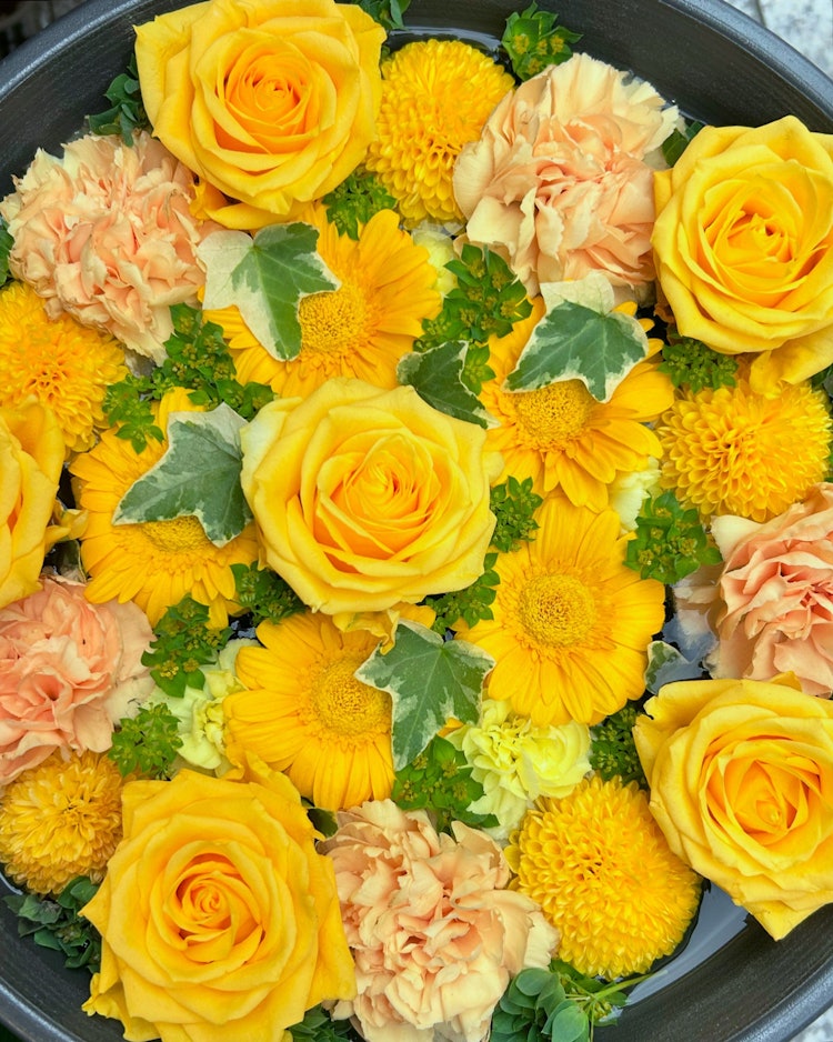 [Image1]Photographed 5/6/24.This is Hanachozu from Hara Flower Shop.It's a vitamin color. 💛