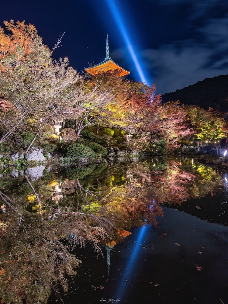 [Image1]Kyoto in autumn is not only daytime.The night view is also beautiful.