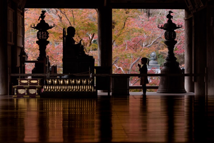 [Image1]Hasedera in autumn, Nara.The autumn colors reflected on the floor are beautiful.It is also a flower 