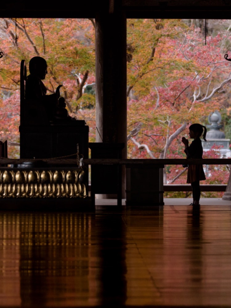[画像1]奈良県、秋の長谷寺。床に映り込む秋色が美しいです。花のお寺でもあり、一年中美しいお寺です。