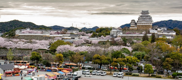 [Image1]Cherry blossoms and Himeji CastleHimeji Castle is also known as White Heron Castle, a castle located