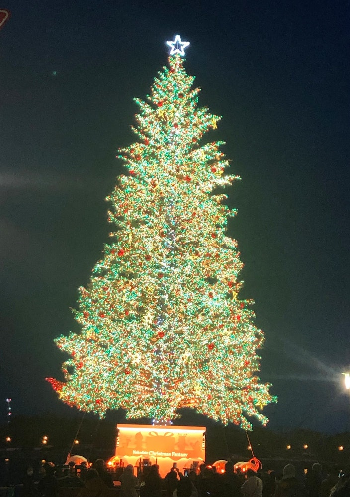 [相片1]北海道函館市，12月1日起聖誕幻想開始了！金森紅磚倉庫周圍的區域，也被稱為灣區，成為場地。海面上閃閃發光的樹木，煙花，燈飾...您可以享受迷人而激動人心的時光。今年，來自北海道的戶松被用於♪聖誕樹🎄。