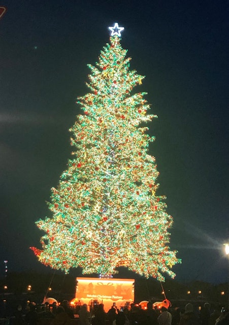 [Image1]北海道函館市では12月1日からクリスマスファンタジーが始まります！ベイエリアとも呼ばれる金森赤レンガ倉庫群周辺が会場となり海上にきらめくツリー、花火、イルミネーション…うっとりドキドキな時間を楽しむこ