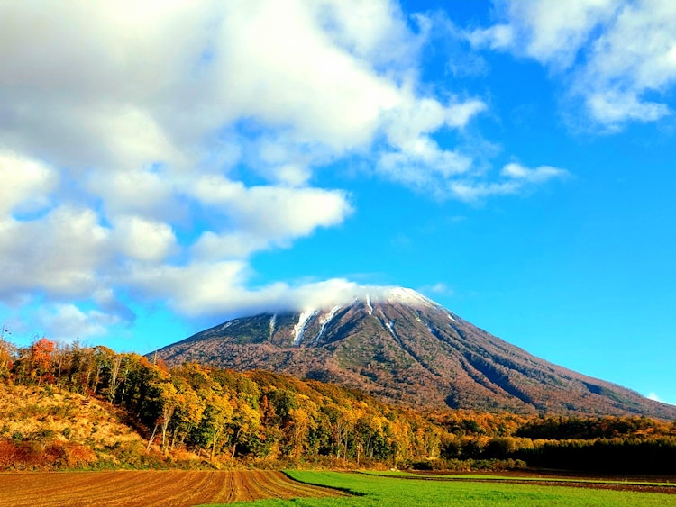 [相片1]这是今天早上的羊蹄山。每年的这个时候，一点雪妆和秋叶合作 (^^)