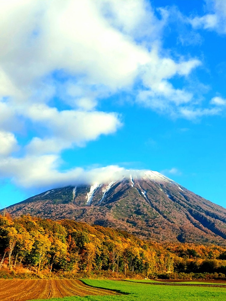 [Image1]This is Mt. Yotei this morning.At this time of year, a little snow makeup and autumn leaves collabor