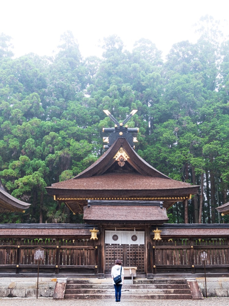 [Image1]It is Kumano Hongu Taisha Shrine in Wakayama. I visited in the moon of light rain, and the forest be