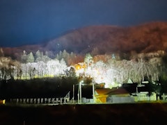 [相片2]新得神社山「夜櫻花點亮」開始。從4月25日（星期四）到5月10日（星期三），從神社辦公室附近到境內和境內附近的樓梯上，將點亮新得山上約2,300棵蝦山山櫻花樹。從去年開始，它已成為使用10個LED泛光