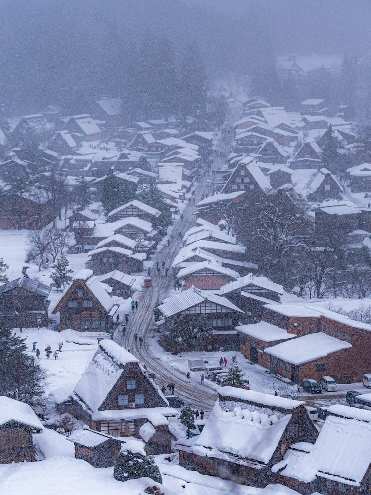 [Image1]Winter in JapanWorld Heritage Site Shirakawa-goIt's great in the snow!In Gifu2021.12.30