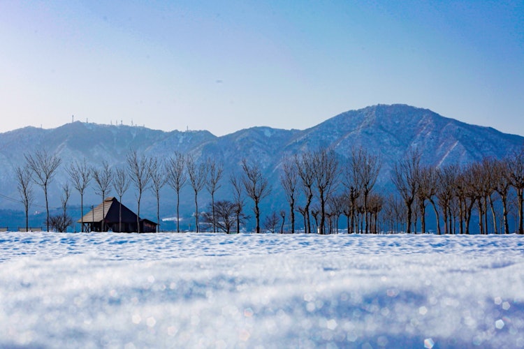 [相片1]新泻县的冬季景色