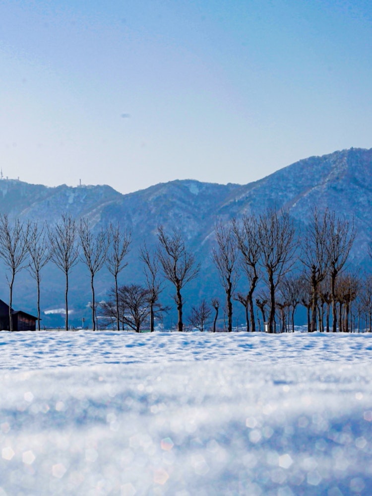 [Image1]Winter view of Niigata Prefecture