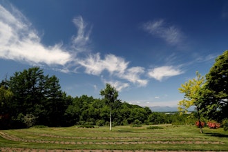 [画像2]【2023十勝ヒルズのアンブレラスカイ】北海道内では、ココまでの規模で展示開催しているのは、現状、十勝ヒルズのみ！ 是非、この時期ならではの「旬景」をご覧に！他には園内でピクニックでも楽しめますし、ベ