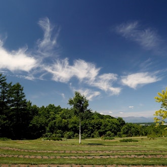 [Image2]【2023 Tokachi Hills' Umbrella Sky】In Hokkaido, the only exhibition held on a scale up to this is cur