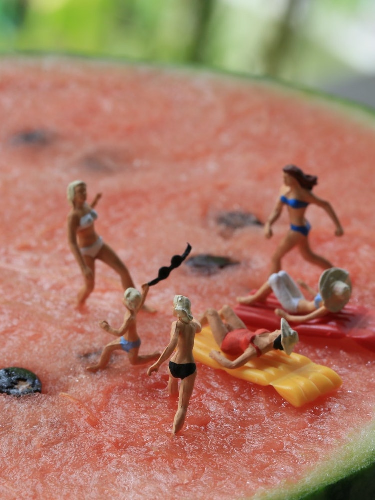 [Image1]It is the summer vacation of the inhabitants of watermelons.