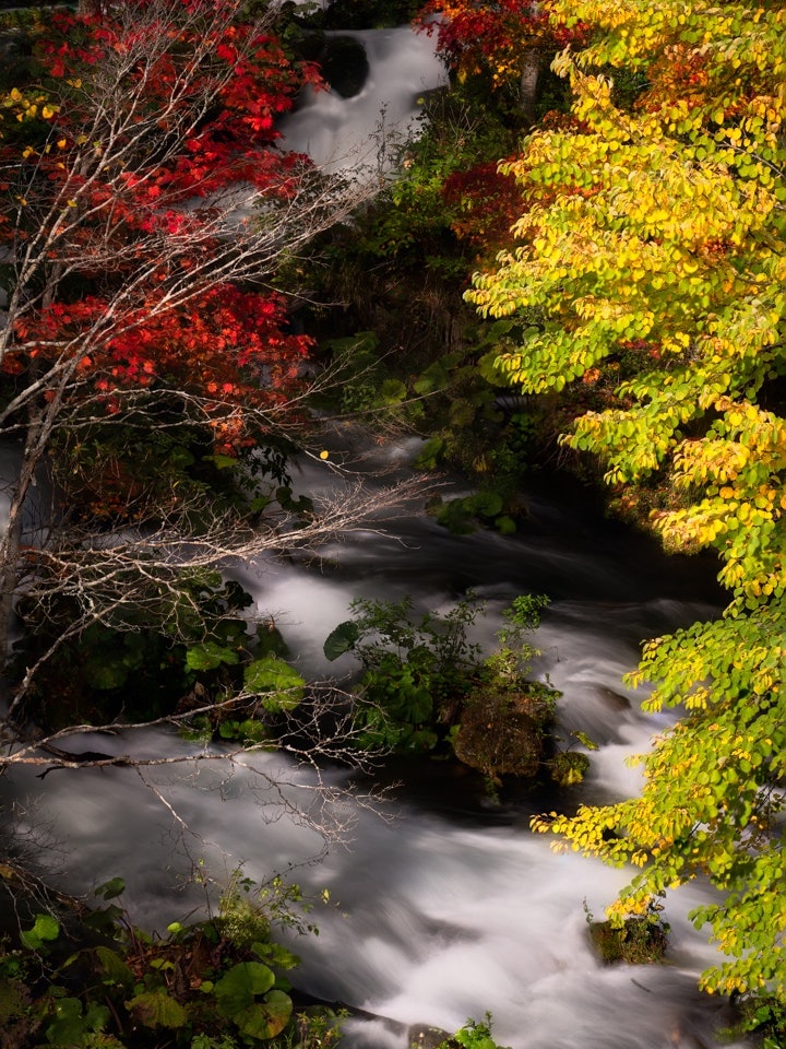 [Image1]From Takimi Bridge near Akanko OnsenBeautiful autumn leaves have begunThere is a parking lot here an