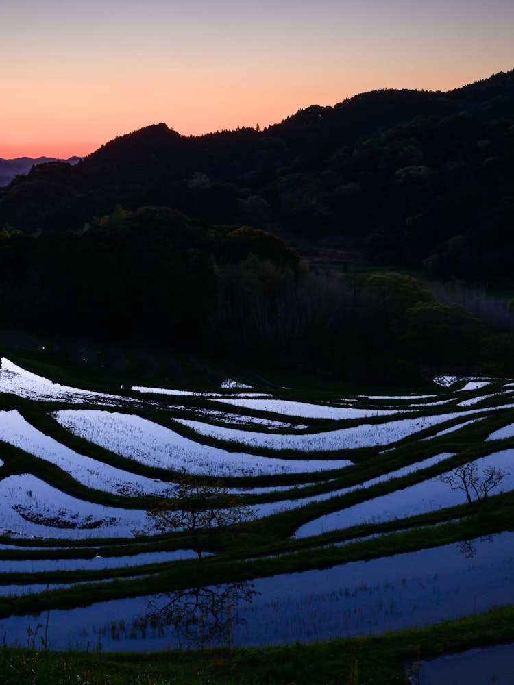[画像1]2023.04.09に千葉県鴨川市の大山千枚田にて撮影。 何か春らしい景色に触れたいと棚田の水鏡を観に千葉県まで足を伸ばしました。 きれいな水鏡をみることができるのは農家さんが稲を植えるまでの限られた